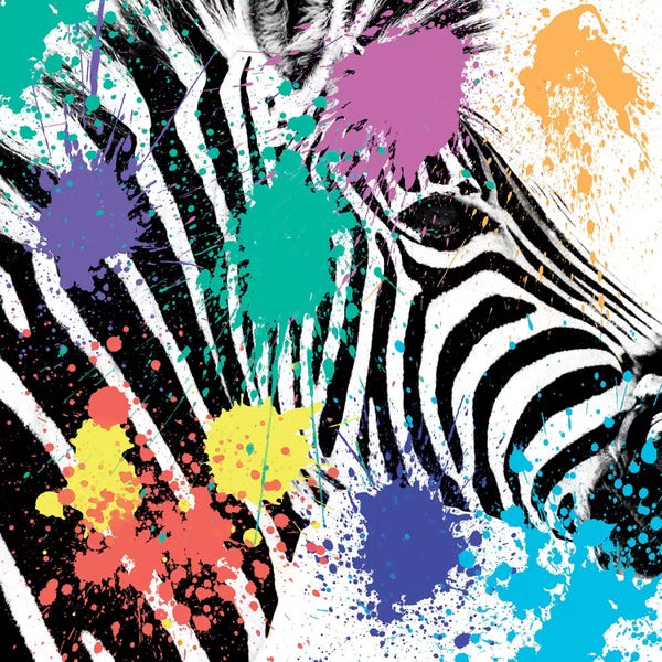 Color Pop Photography: Zebra Portrait by Philippe Hugonnard