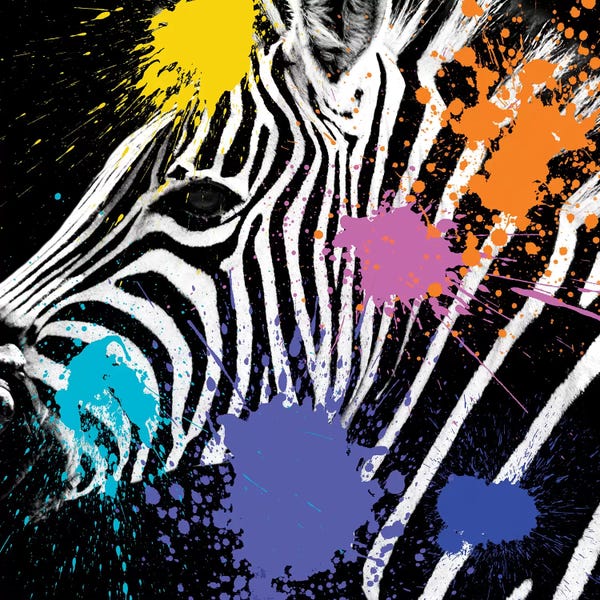 Zebras: Zebra Portrait II by Philippe Hugonnard