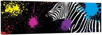 Zebra VI Canvas Art Print - Color Pop Photography