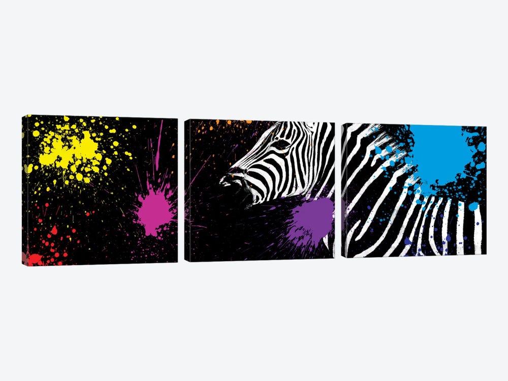 Zebra VI by Philippe Hugonnard 3-piece Canvas Art Print