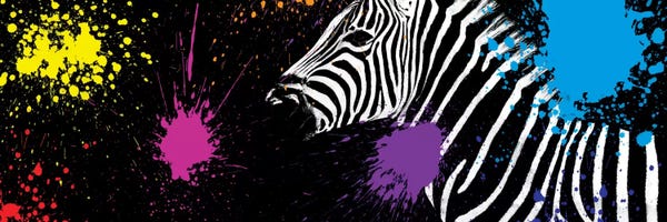 Zebras: Zebra VI by Philippe Hugonnard