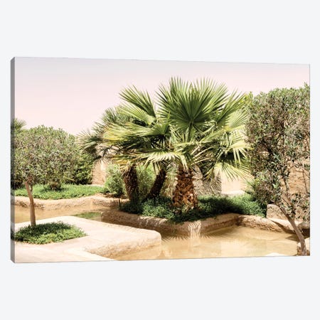 Desert Home - Oasis Garden Canvas Print #PHD2498} by Philippe Hugonnard Canvas Artwork
