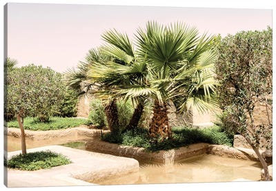 Desert Home - Oasis Garden Canvas Art Print - Desert Home