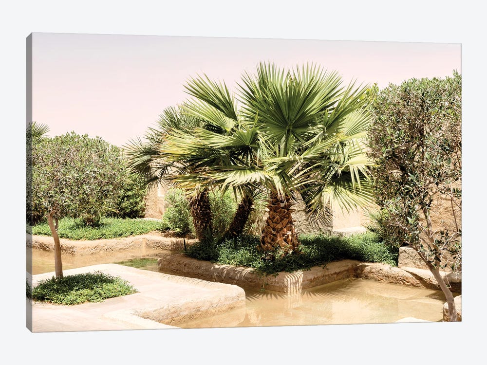 Desert Home - Oasis Garden by Philippe Hugonnard 1-piece Canvas Art