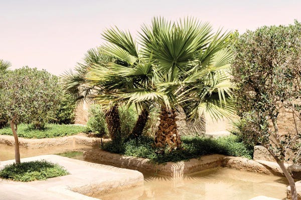 Fine Art Print: Desert Home - Oasis Garden by Philippe Hugonnard