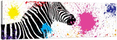 Zebra VII Canvas Art Print - African Safari