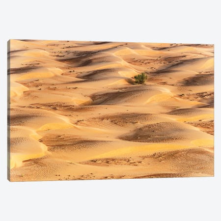 Dubai UAE - Sunset Sand Dunes Canvas Print #PHD2506} by Philippe Hugonnard Art Print