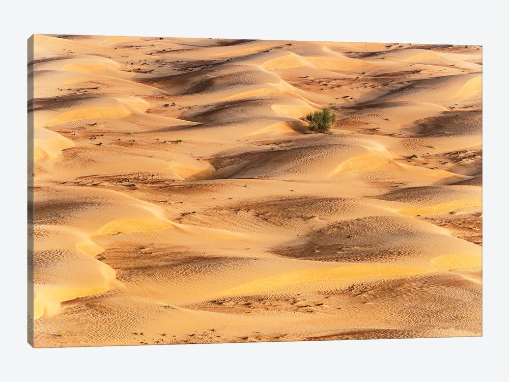 Dubai UAE - Sunset Sand Dunes by Philippe Hugonnard 1-piece Canvas Artwork