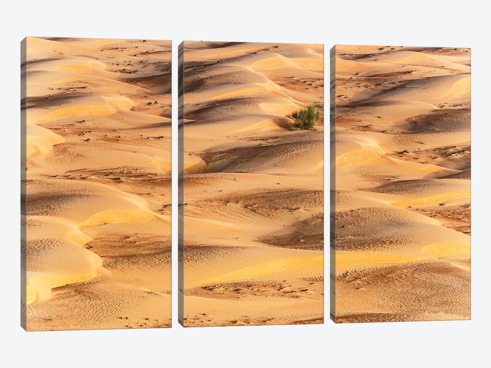 Dubai UAE - Sunset Sand Dunes by Philippe Hugonnard 3-piece Canvas Wall Art