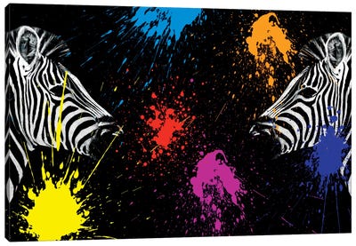 Zebras Face to Face II Canvas Art Print - African Safari