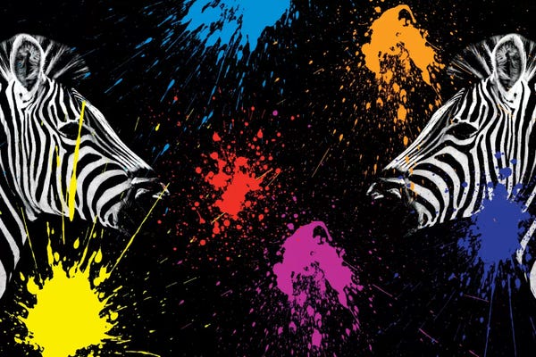 Zebras: Zebras Face to Face II by Philippe Hugonnard