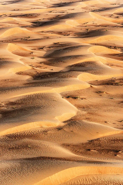 Dubai UAE - Sand Dunes Sunrise