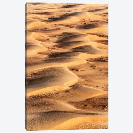 Dubai UAE - Sand Dunes Sunrise Canvas Print #PHD2511} by Philippe Hugonnard Canvas Art Print