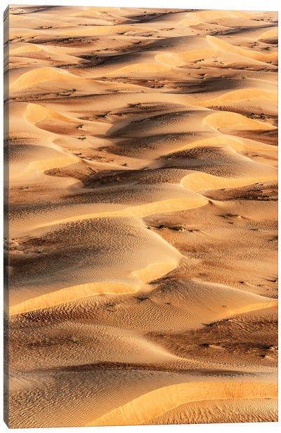 Dubai UAE - Sand Dunes Sunrise Canvas Art Print - Dubai Art