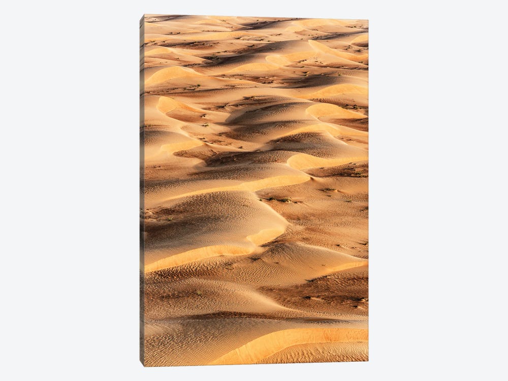 Dubai UAE - Sand Dunes Sunrise by Philippe Hugonnard 1-piece Canvas Wall Art