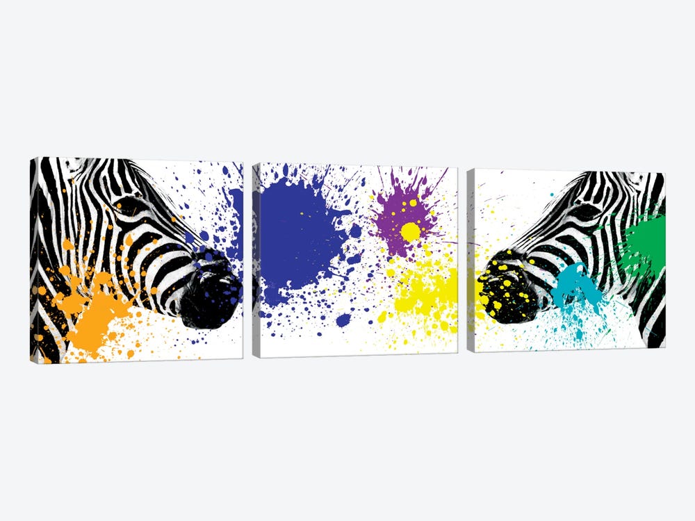 Zebras Face to Face III by Philippe Hugonnard 3-piece Art Print