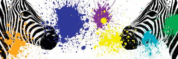 Zebras: Zebras Face to Face III by Philippe Hugonnard