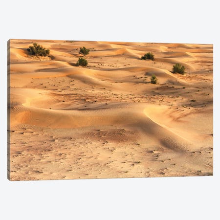 Dubai UAE - Dunes Canvas Print #PHD2526} by Philippe Hugonnard Canvas Print