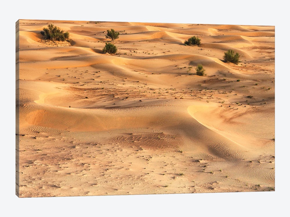 Dubai UAE - Dunes by Philippe Hugonnard 1-piece Canvas Art