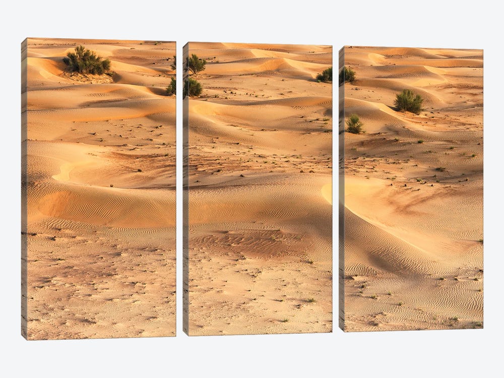 Dubai UAE - Dunes by Philippe Hugonnard 3-piece Canvas Artwork