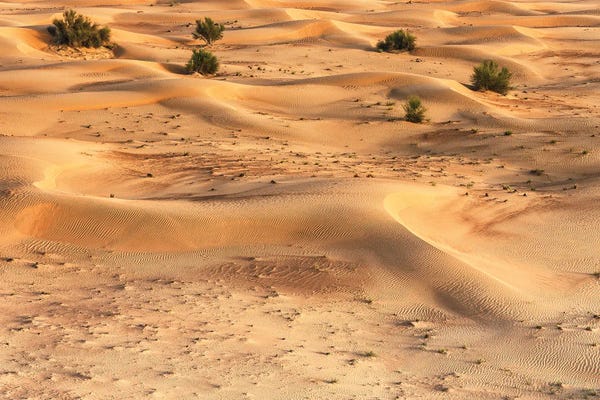 United Arab Emirates: Dubai UAE - Dunes by Philippe Hugonnard