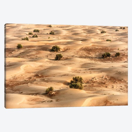 Dubai UAE - Desert Dunes I Canvas Print #PHD2528} by Philippe Hugonnard Canvas Artwork
