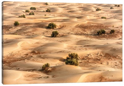 Dubai UAE - Desert Dunes I Canvas Art Print - United Arab Emirates Art