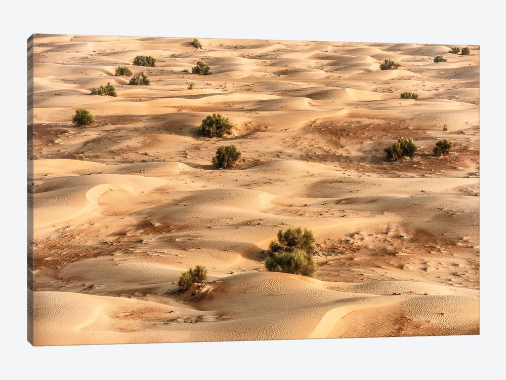 Dubai UAE - Desert Dunes I by Philippe Hugonnard 1-piece Canvas Artwork