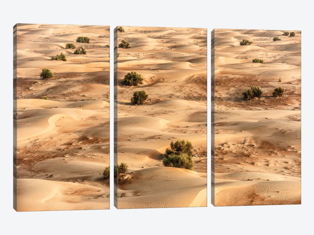 Dubai UAE - Desert Dunes I by Philippe Hugonnard 3-piece Canvas Wall Art
