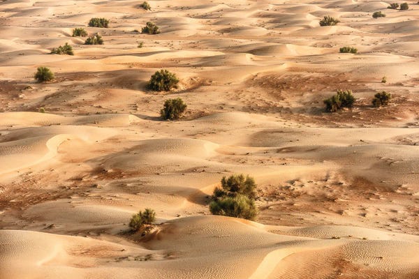 United Arab Emirates: Dubai UAE - Desert Dunes I by Philippe Hugonnard