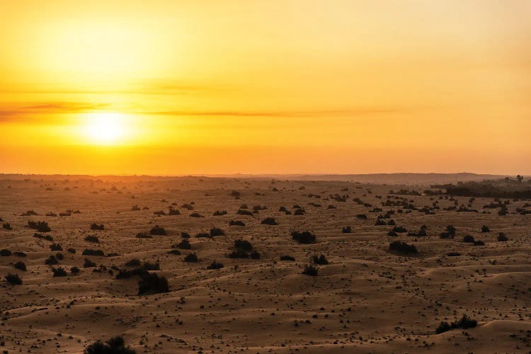 Dubai UAE - Sunset Desert