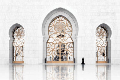 White Mosque - Reflection by Philippe Hugonnard art print