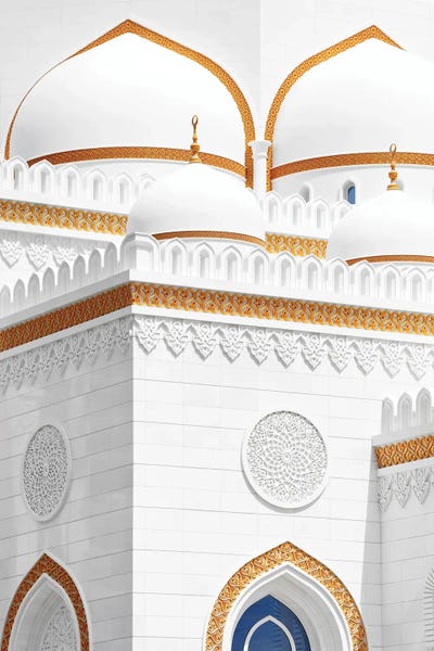 United Arab Emirates: White Mosque - Amazing Facade by Philippe Hugonnard