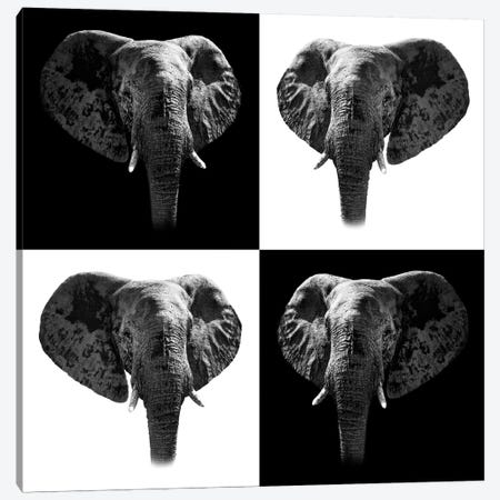 Elephants II Canvas Print #PHD255} by Philippe Hugonnard Canvas Artwork