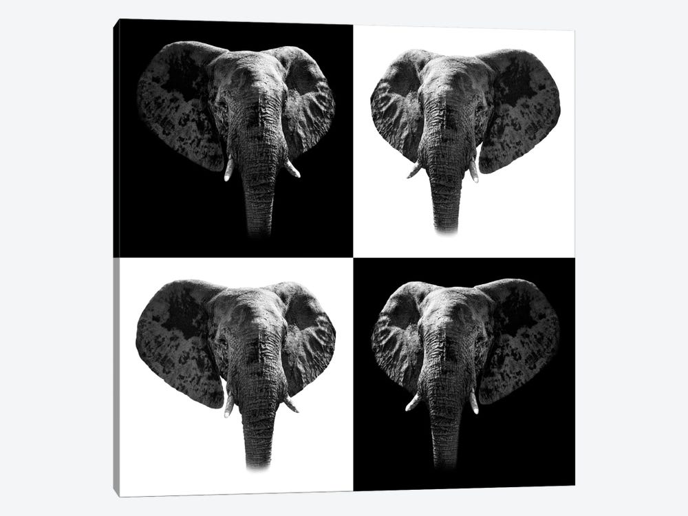 Elephants II by Philippe Hugonnard 1-piece Canvas Print