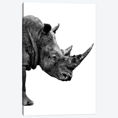 Rhino White Edition IV Canvas Print #PHD257} by Philippe Hugonnard Canvas Art