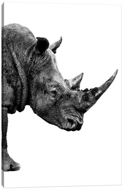 Rhino White Edition IV Canvas Art Print - Black & White Animal Art