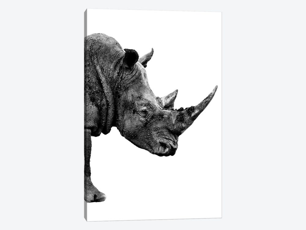 Rhino White Edition IV by Philippe Hugonnard 1-piece Canvas Print