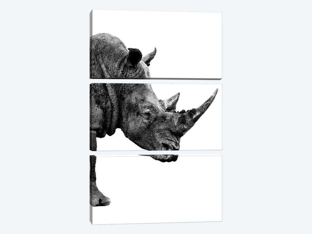 Rhino White Edition IV by Philippe Hugonnard 3-piece Canvas Art Print