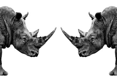 Famous Palaces & Residences