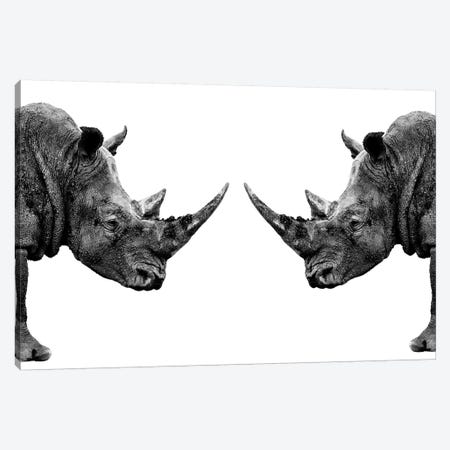 Rhinos Face to Face White Edition Canvas Print #PHD258} by Philippe Hugonnard Art Print