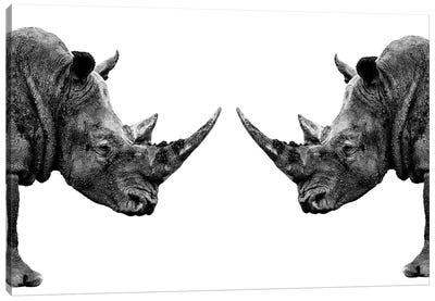 Rhinos Face to Face White Edition Canvas Art Print - Rhinoceros Art