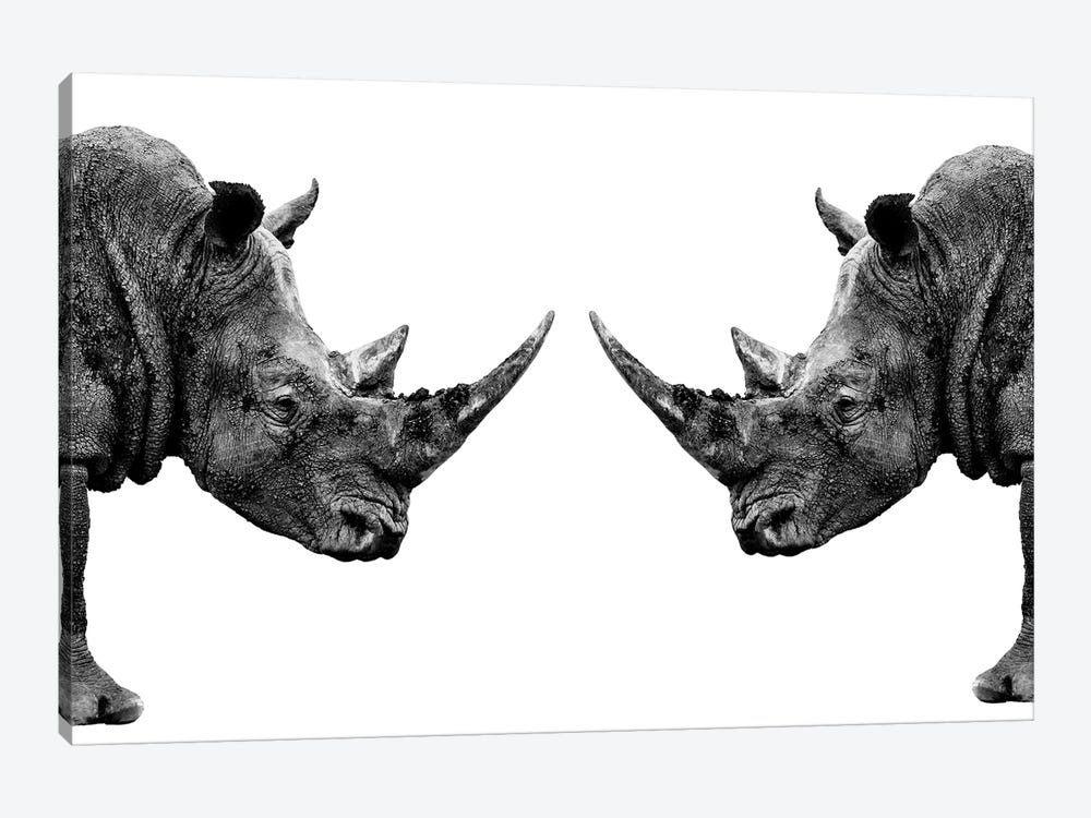 Rhinos Face to Face White Edition by Philippe Hugonnard 1-piece Canvas Artwork