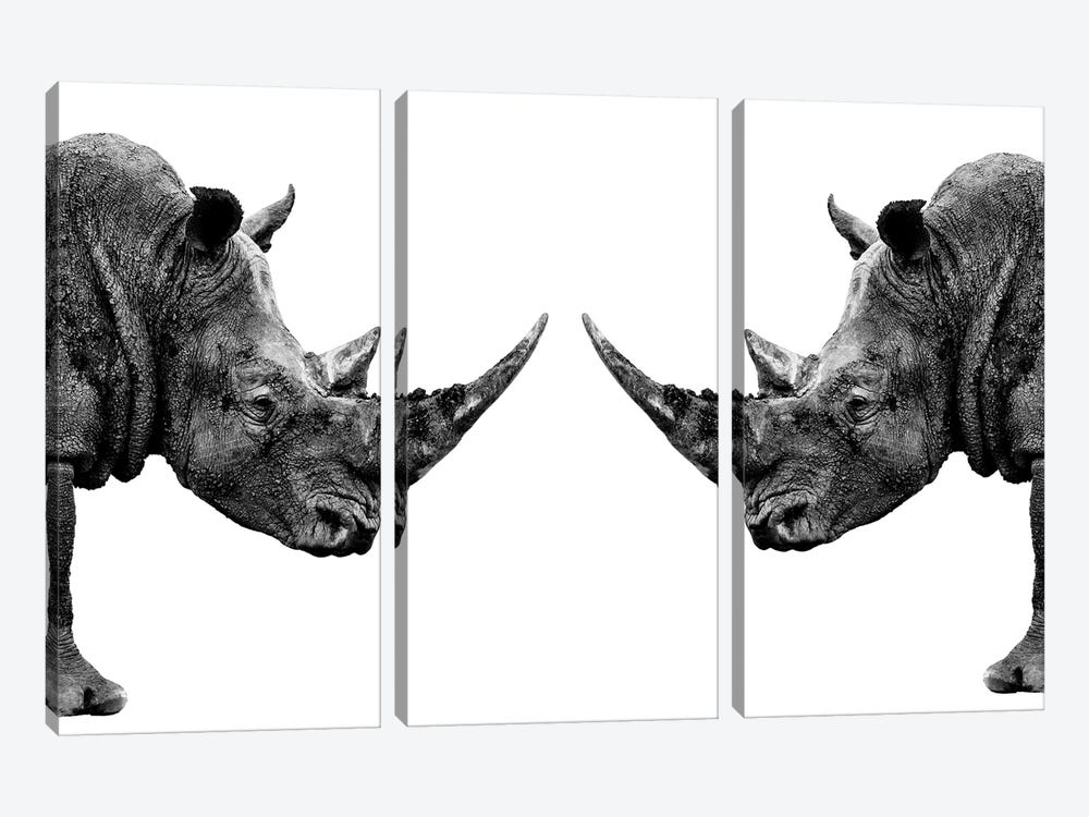 Rhinos Face to Face White Edition by Philippe Hugonnard 3-piece Canvas Wall Art