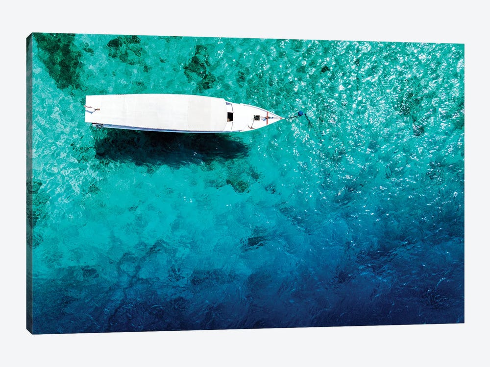 Aerial Summer - Clear Water by Philippe Hugonnard 1-piece Art Print