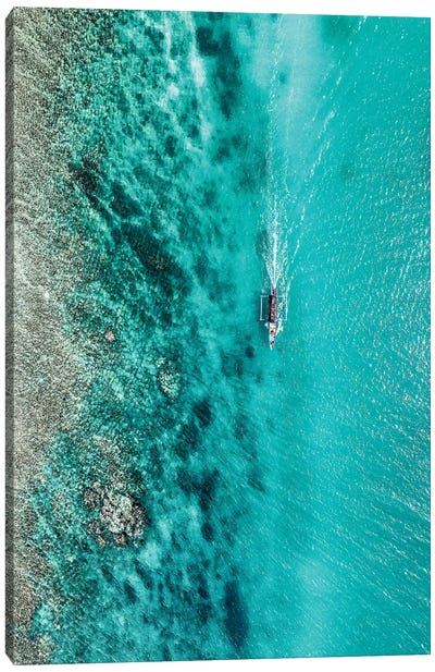 Aerial Summer - Turquoise Coral Canvas Art Print - Aerial Beaches 