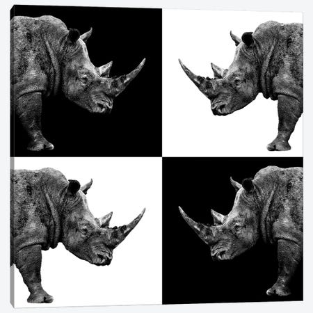 Rhinos II Canvas Print #PHD259} by Philippe Hugonnard Art Print