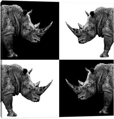 Rhinos II Canvas Art Print - Rhinoceros Art