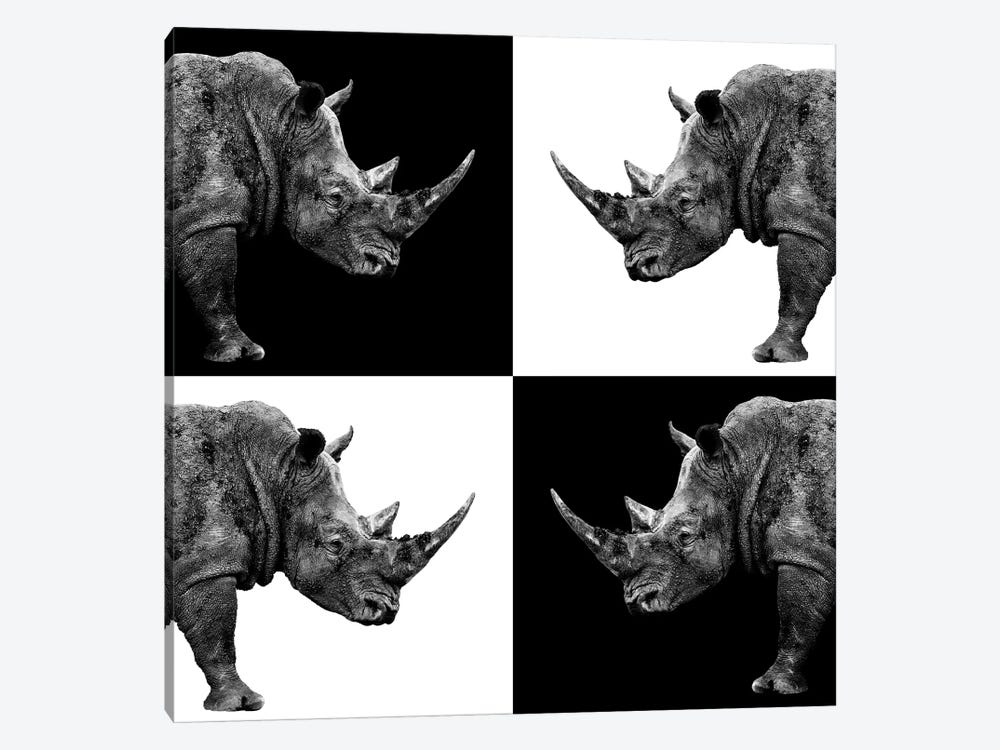 Rhinos II by Philippe Hugonnard 1-piece Canvas Art Print