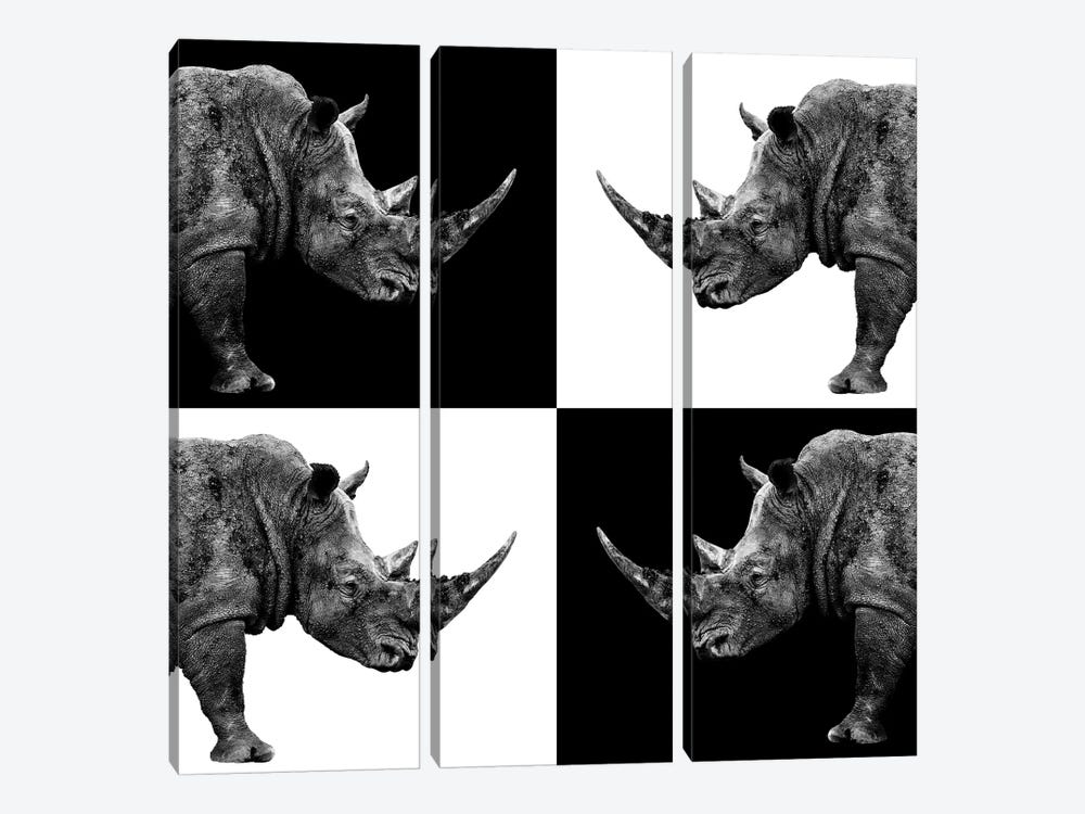 Rhinos II by Philippe Hugonnard 3-piece Canvas Art Print